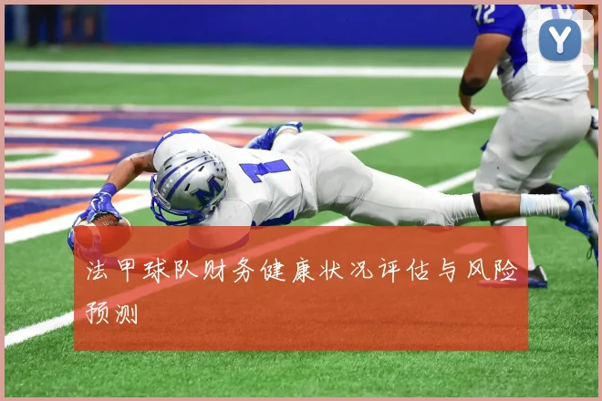 法甲球队财务健康状况评估与风险预测