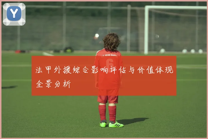 法甲外援综合影响评估与价值体现全景分析
