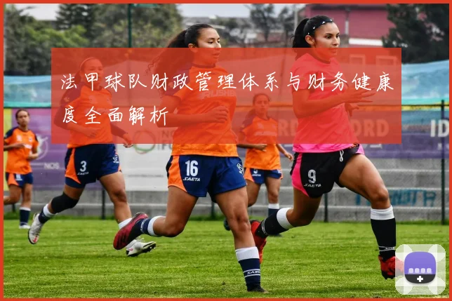 法甲球队财政管理体系与财务健康度全面解析