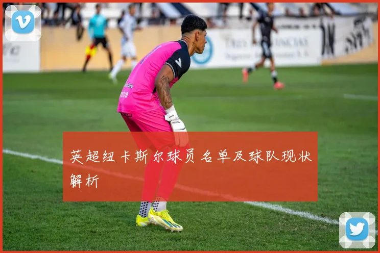 英超纽卡斯尔球员名单及球队现状解析