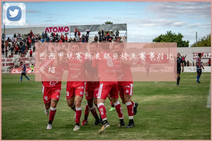 巴西甲联赛新浪积分榜及赛事对比介绍