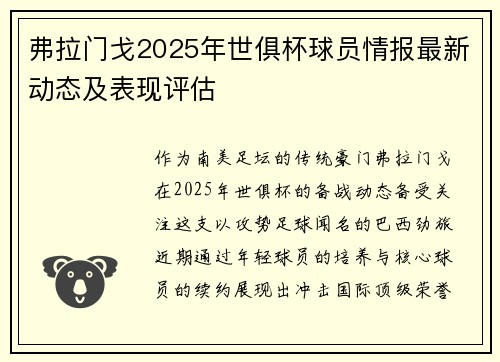 弗拉门戈2025年世俱杯球员情报最新动态及表现评估